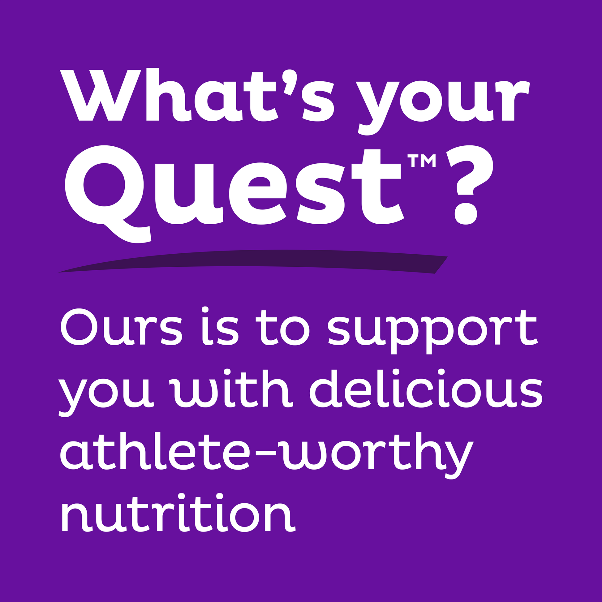 double-chocolate-chunk-protein-bars-m1 qst-000241_double-chocolate-chunk-protein-bars_9.png